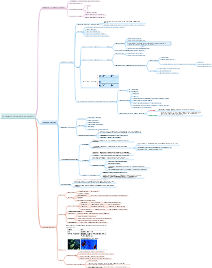 La forma e la struttura dei batteri