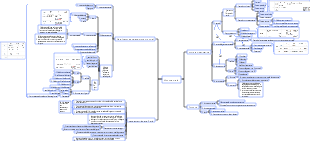 Mappa mentale della mucosa orale