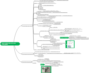 malattia da disfunzione del pavimento pelvico