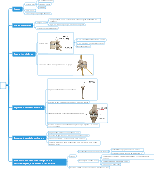 Mappa mentale di Medicine-Bone