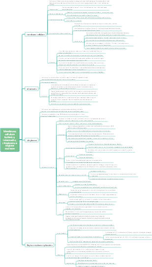 Membrana cellulare batterica, intermedia e membrana cellulare