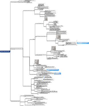 Fisiologia-Produzione ed escrezione di urina