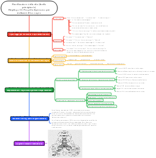 Pianificazione della vita (elementare) Riepilogo 03 Percorso progettuale per realizzare i sogni