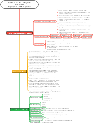 Riepilogo della pianificazione della vita (preliminare) 01 Politica generale