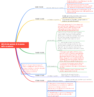 Pianificazione delle attività relative all'orario di lavoro
