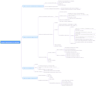 Modulo di biochimica animale 5 Metabolismo dei carboidrati