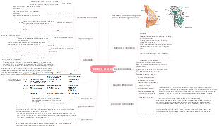 Mappa mentale medicina-cancro al seno