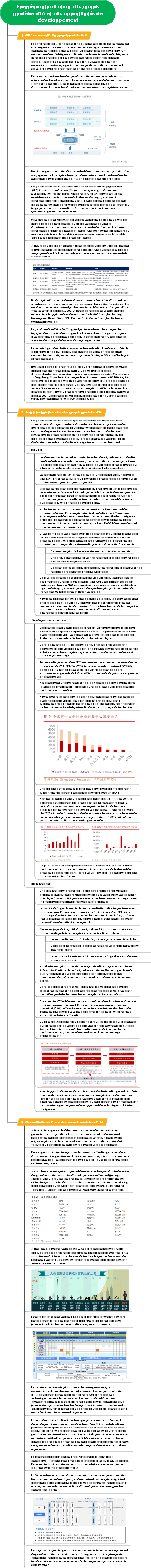 Première introduction aux grands modèles d'IA et à la carte mentale des opportunités de développement