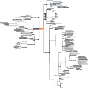 Carte mentale des statistiques