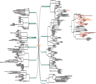 Carte mentale Médecine-Stomatologie