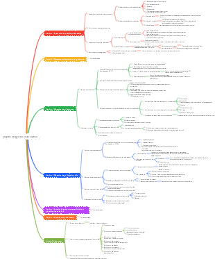 Physiologie-Chapitre 6 Carte mentale de la digestion et de l'absorption