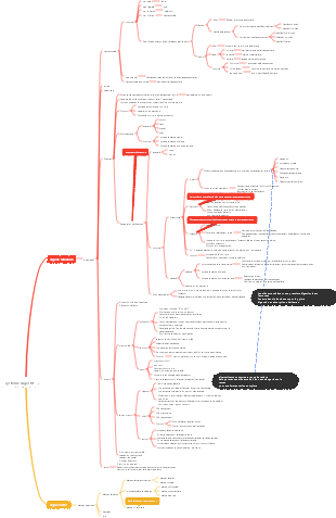 Carte mentale du système digestif de l'anatomie animale