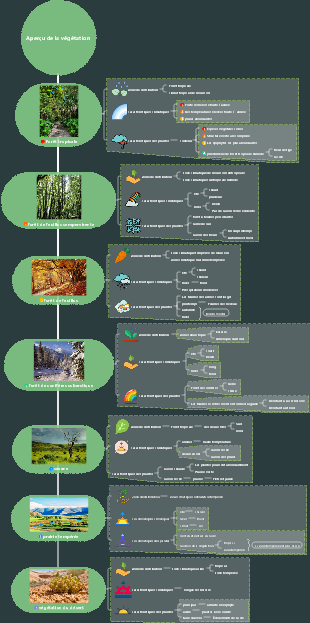 Carte mentale de présentation de la végétation