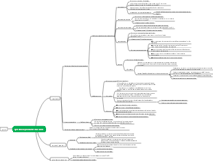 Système reproductif masculin