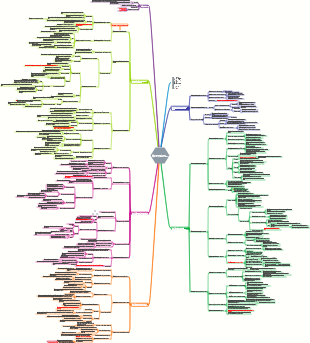 «Минималистический метод обучения» Примечания к чтению