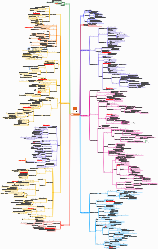 «Учись хорошо» Конспекты для чтения