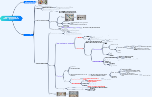 Физиология Раздел 1. Основное строение и транспортная функция клеточной мембраны.