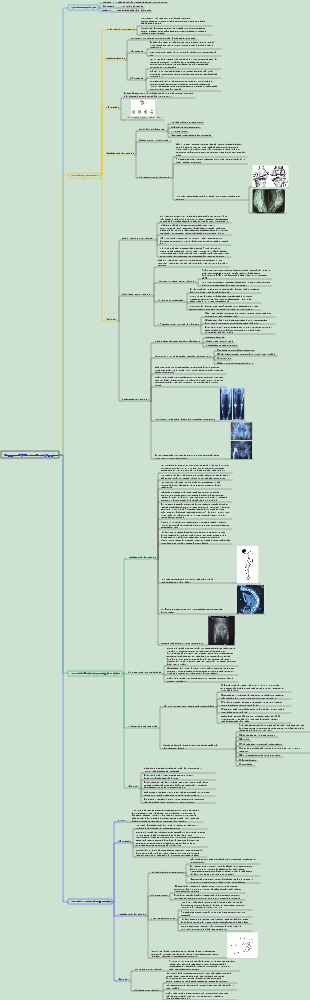 Хирургия 070 Несептический артрит