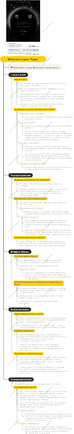 Интеллект-карта «Чудо»