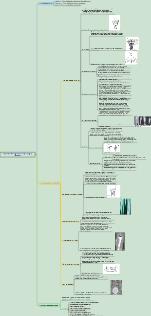 Хирургия 058 Гнойные инфекции костей и суставов