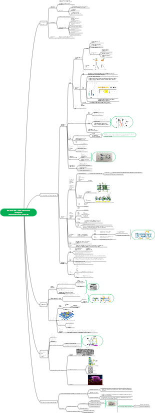 Химический состав и биологические свойства клеточной мембраны