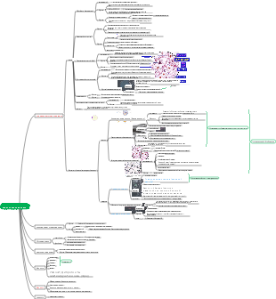 эмбрион → соединительная ткань