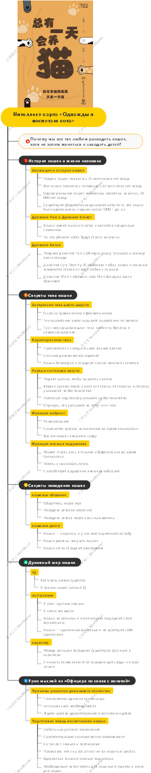 Интеллект-карта «Однажды я воспитаю кота»