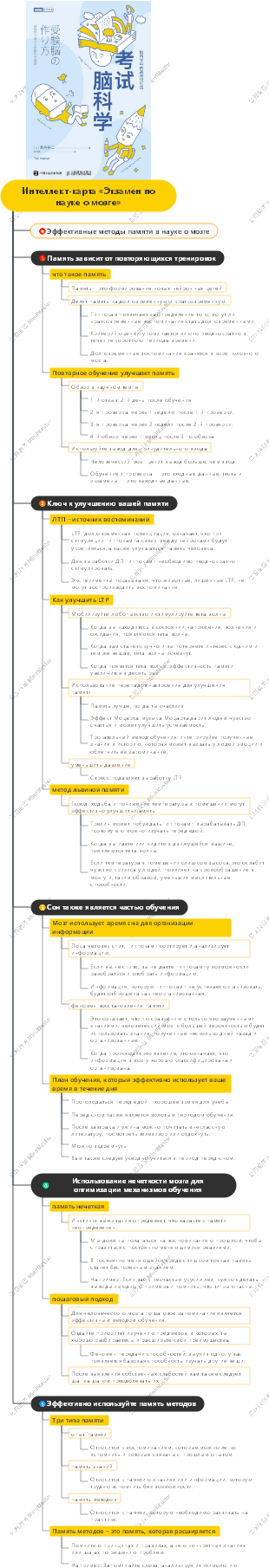 Интеллект-карта «Экзамен по науке о мозге»