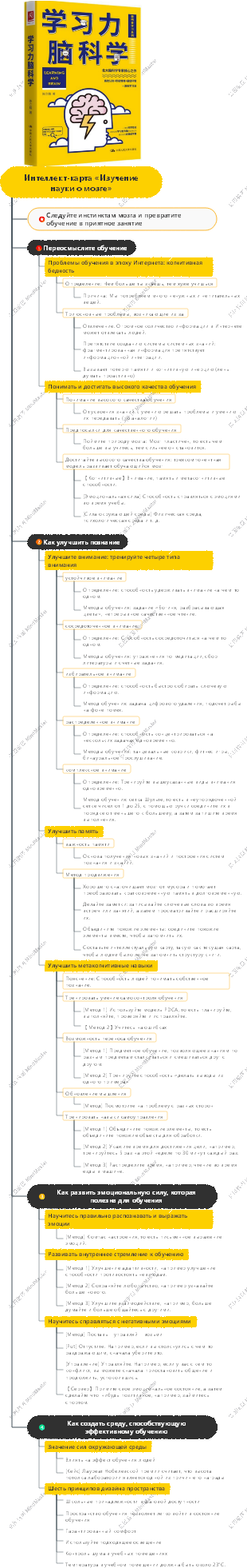 Интеллект-карта «Изучение науки о мозге»