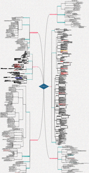 Международная торговая практика