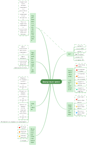 Циркуляция крови