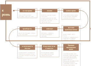 Физиологическая карта разума крови