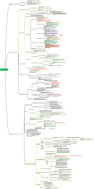 кровообращение(1)