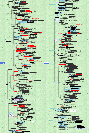 Сводная карта разума физиологии крови