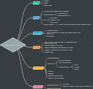 Годовой план на 2024 год