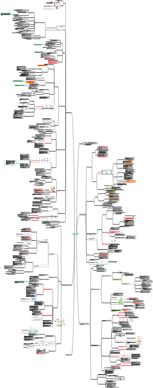 Циркуляция крови