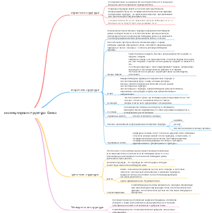 молекулярная структура белка