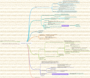 Пищеварительная трубка