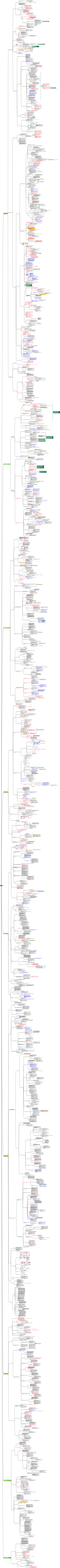 педагогика