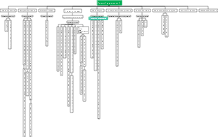 Организационная структура