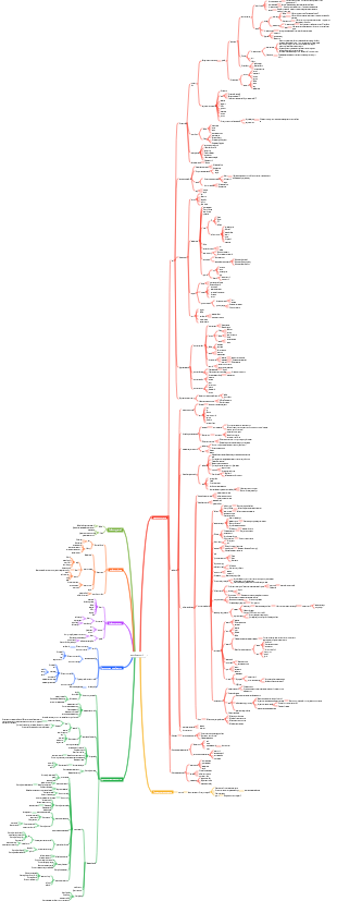Объективные законы любви