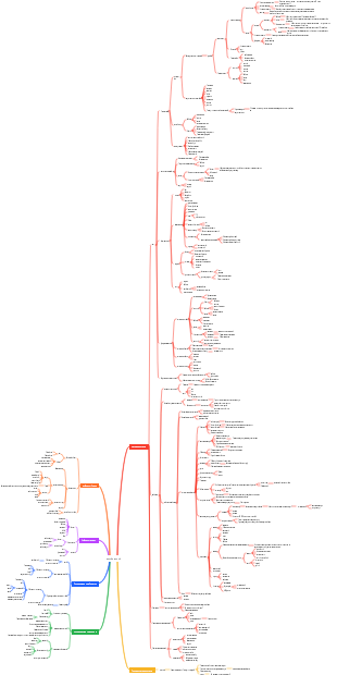 Объективные законы любви