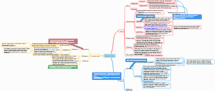 Глава 4_Хрящ и кость