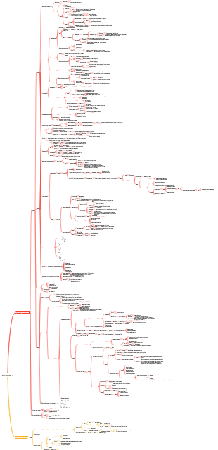 сосудистая сеть
