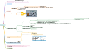 Введение в инфекцию и иммунитет