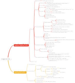 Медицинская анатомия — ментальная карта сосудистой системы