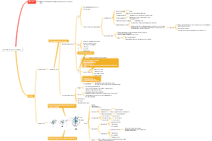 Интеллект-карта ветеринарной медицины и респираторной системы