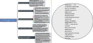 Как работают нейроны головного мозга