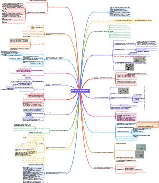 «Пусть любовь придет домой» заметки для чтения и карта мыслей