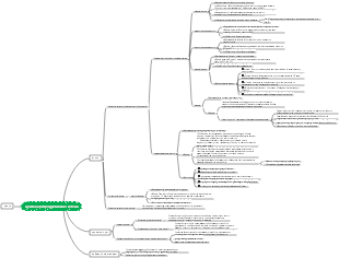 мужская репродуктивная система